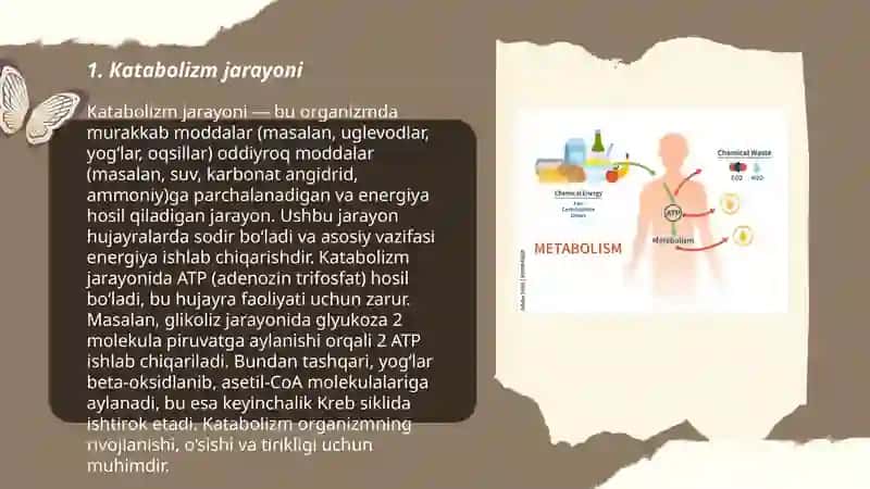 Metabolizm jarayonida energiya hosil bo‘lishi va sarflanishi 3