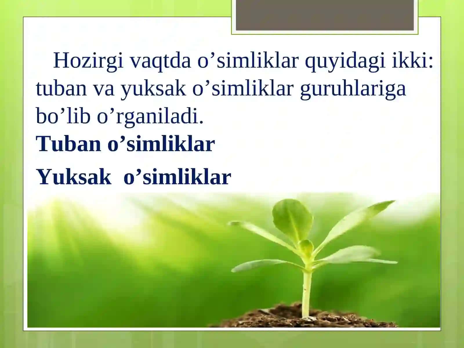 O’simliklar dunyosi va ularni hayot tarzi haqidagi bilimlarni bilib olish va tahlil qilish 3