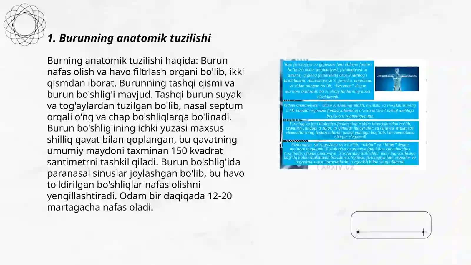 Burun,halqum va hiqildoqning anotomo-fiziologik xususiyatlari 3