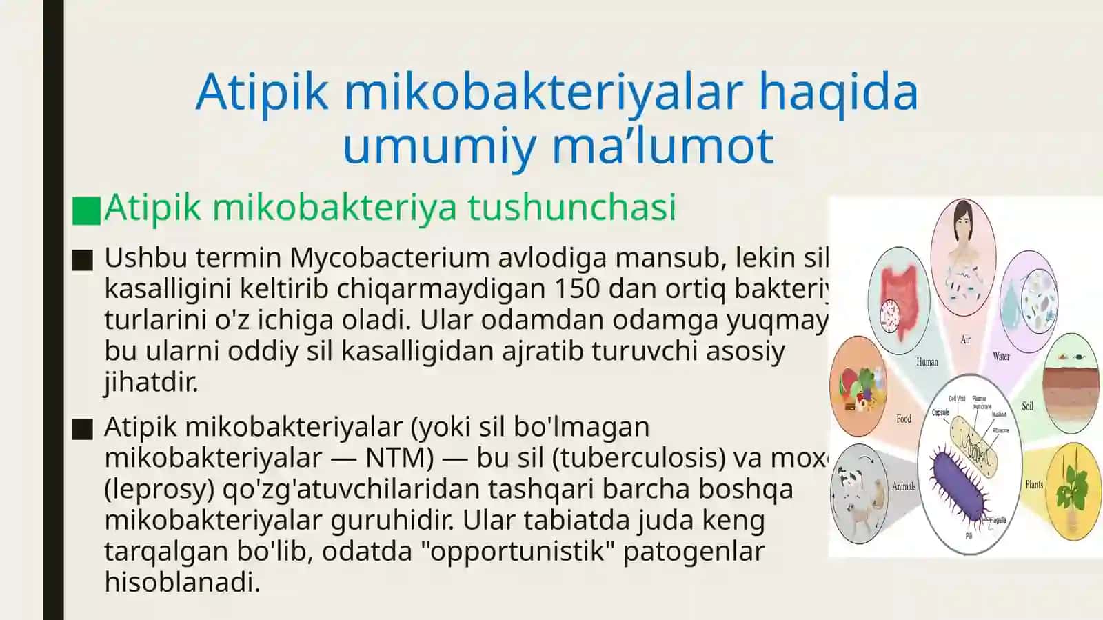 Atipik mikobakteriyalar va ularni amaliyotdagi ahamiyati 3