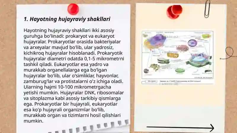 Hayotning hujayraviy shakllari 3