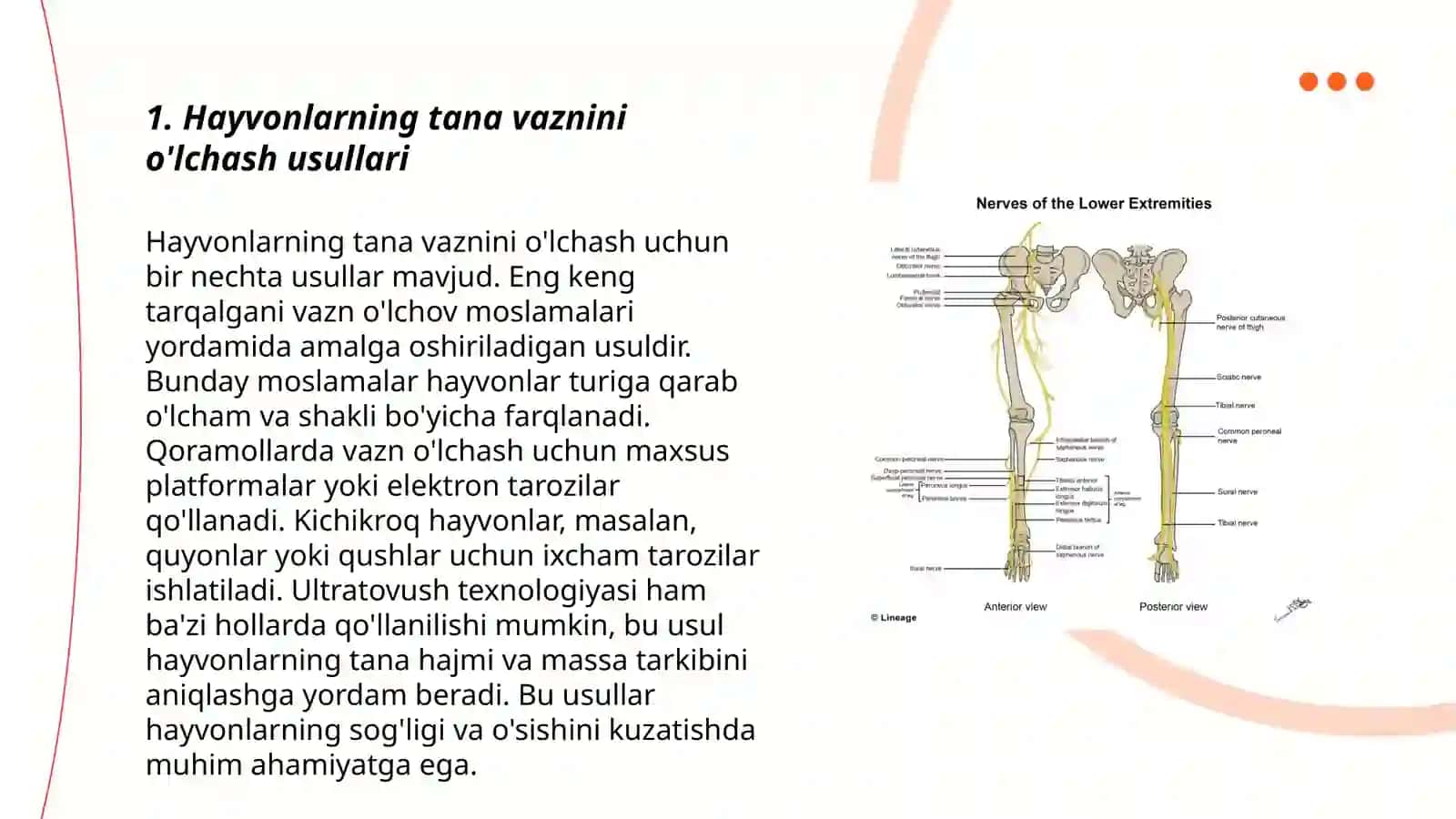 Hayvonlarning òlchovlarini olish tana tuzilish indeksni xisoblash va ekste profilni tuzish 3