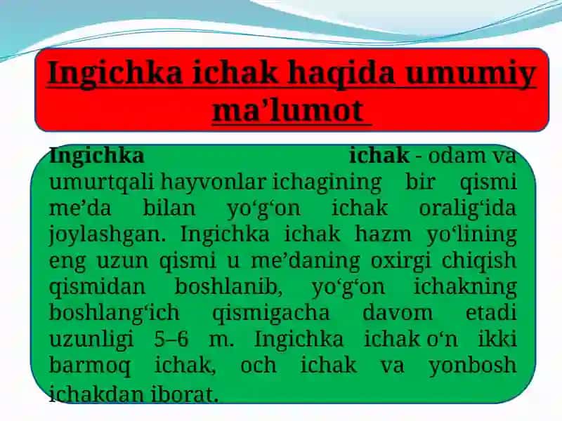Odam va hayvonlar ingichka  va yo’g’on ichagida ovqat hazm bo’lishining o’ziga xosligi 3