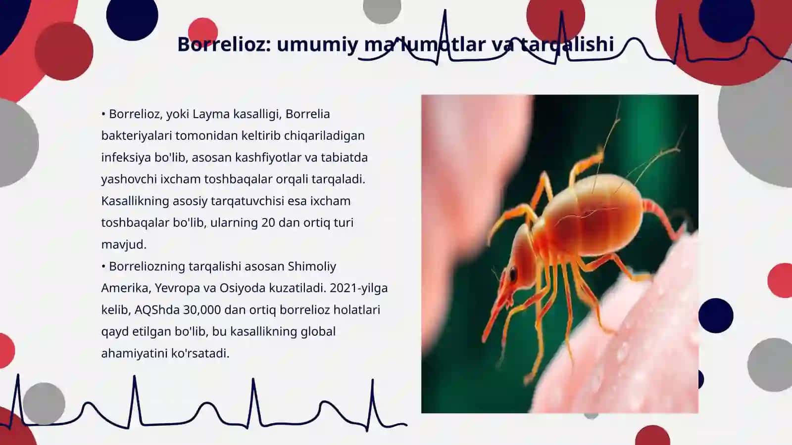 Borrelioz (Layma-kasalligi) 3