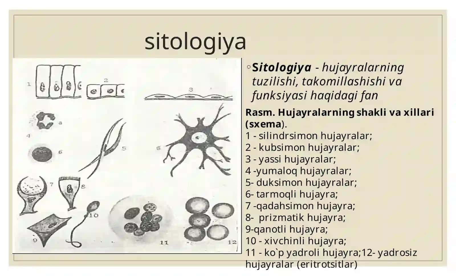Gistologiya 3