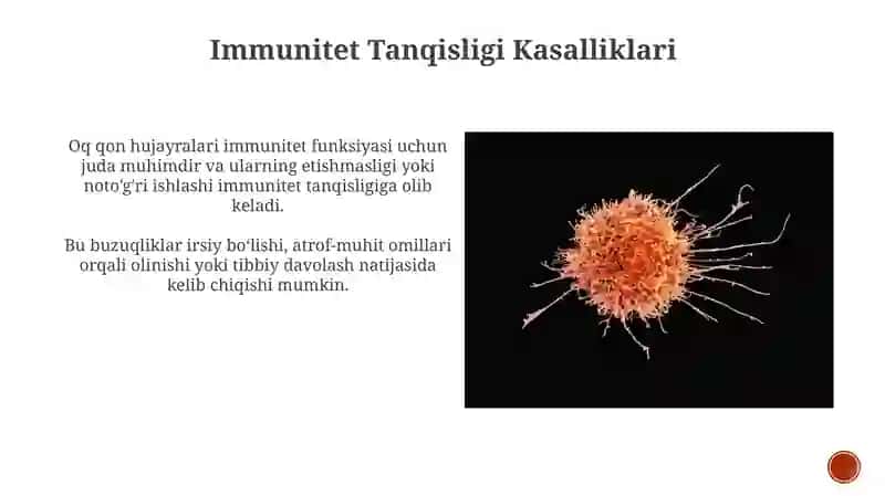 Leykotsit 3