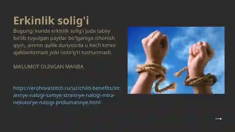 NOODATIY SOLIQ TURLARI 3