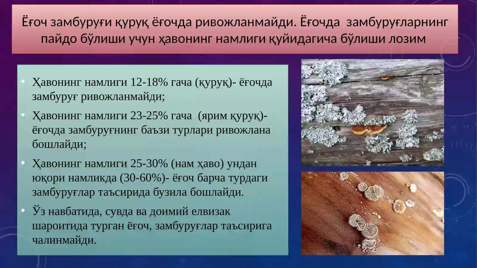 Ёғоч конструкцияларнинг емирилиши 3