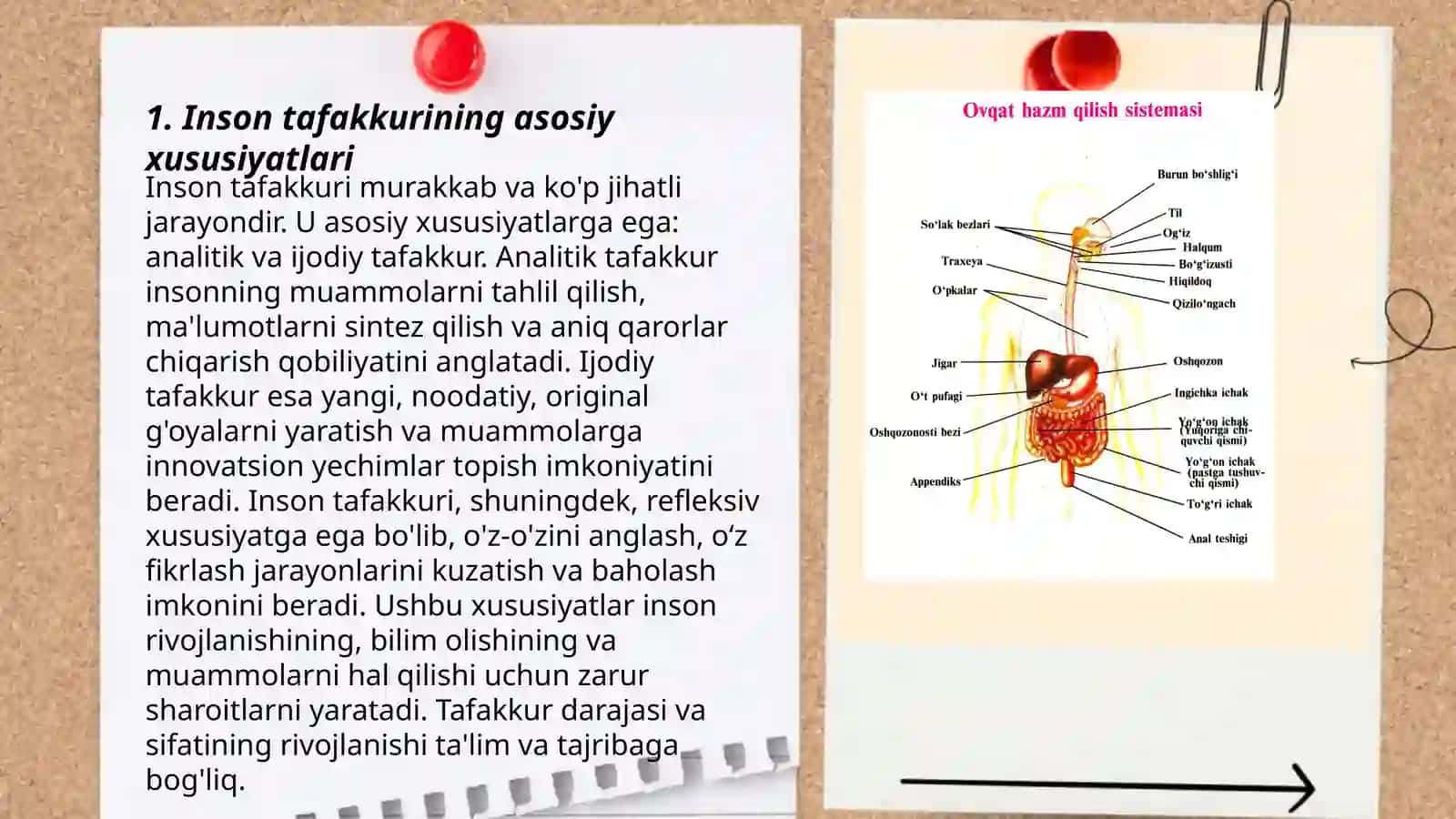 Inson taffakuri 3