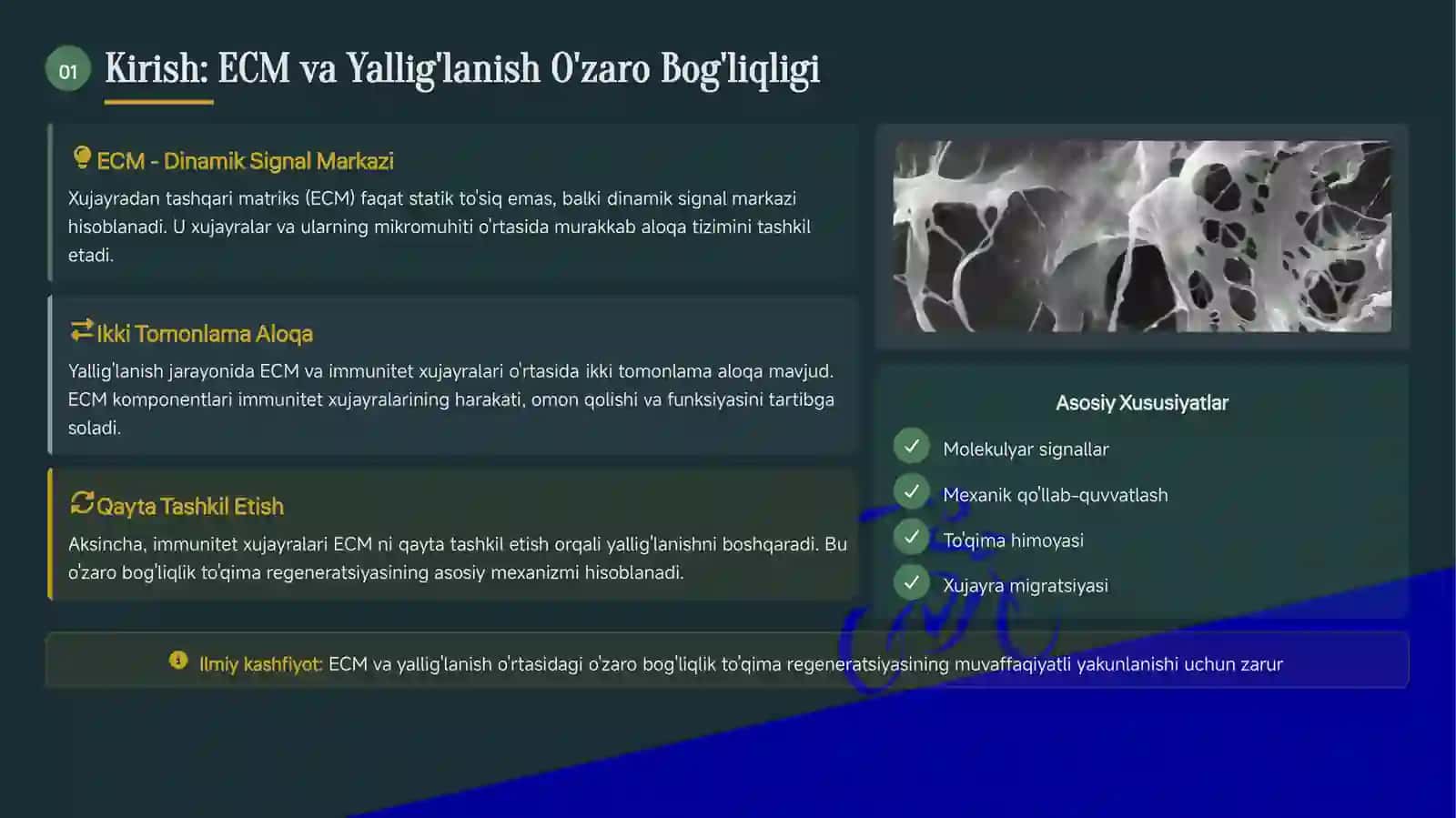 Yalligʻlanish tizimli tasirlari 3