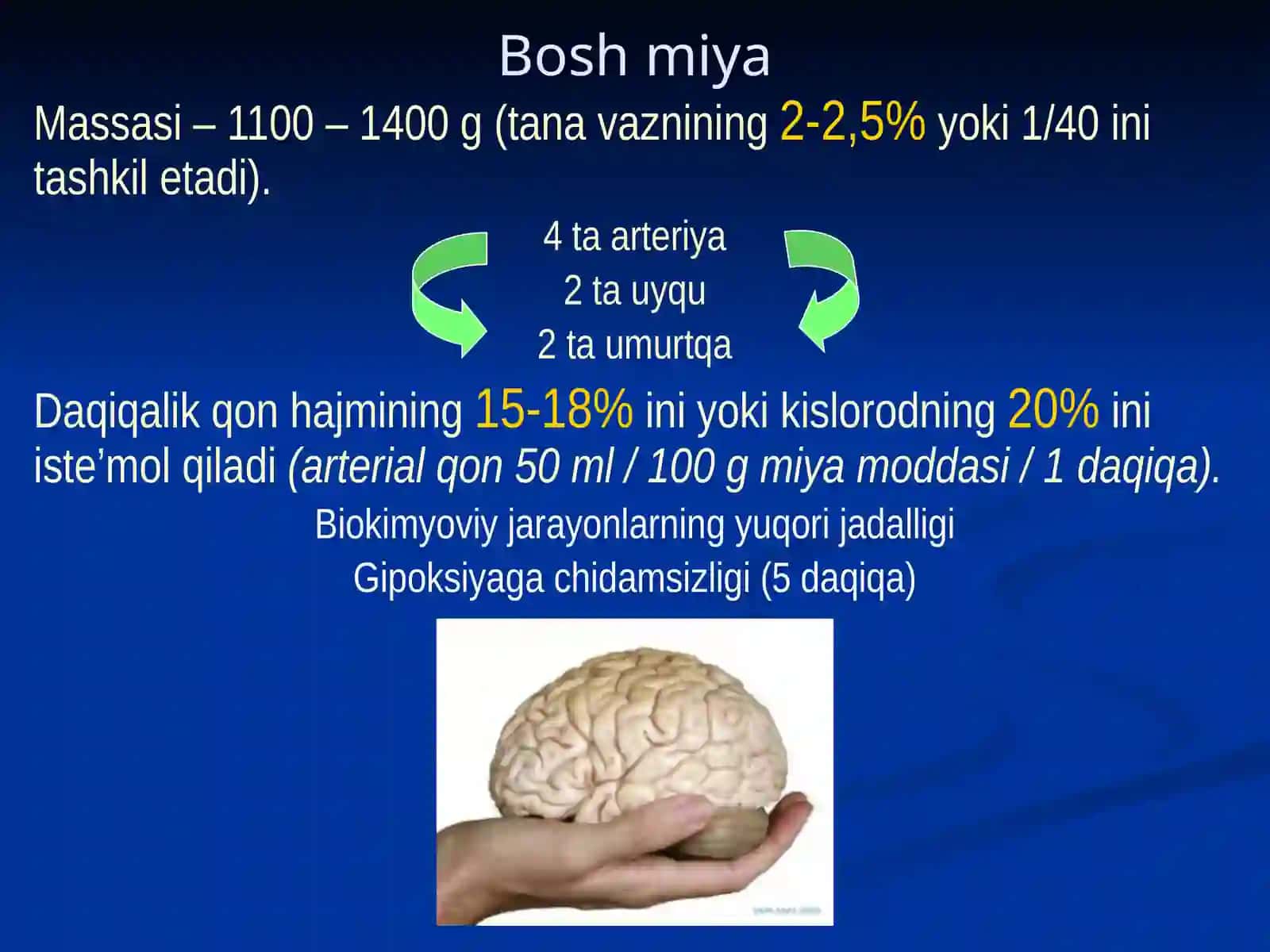 Bosh sohasi miya qismining klinik anatomiyasi 3