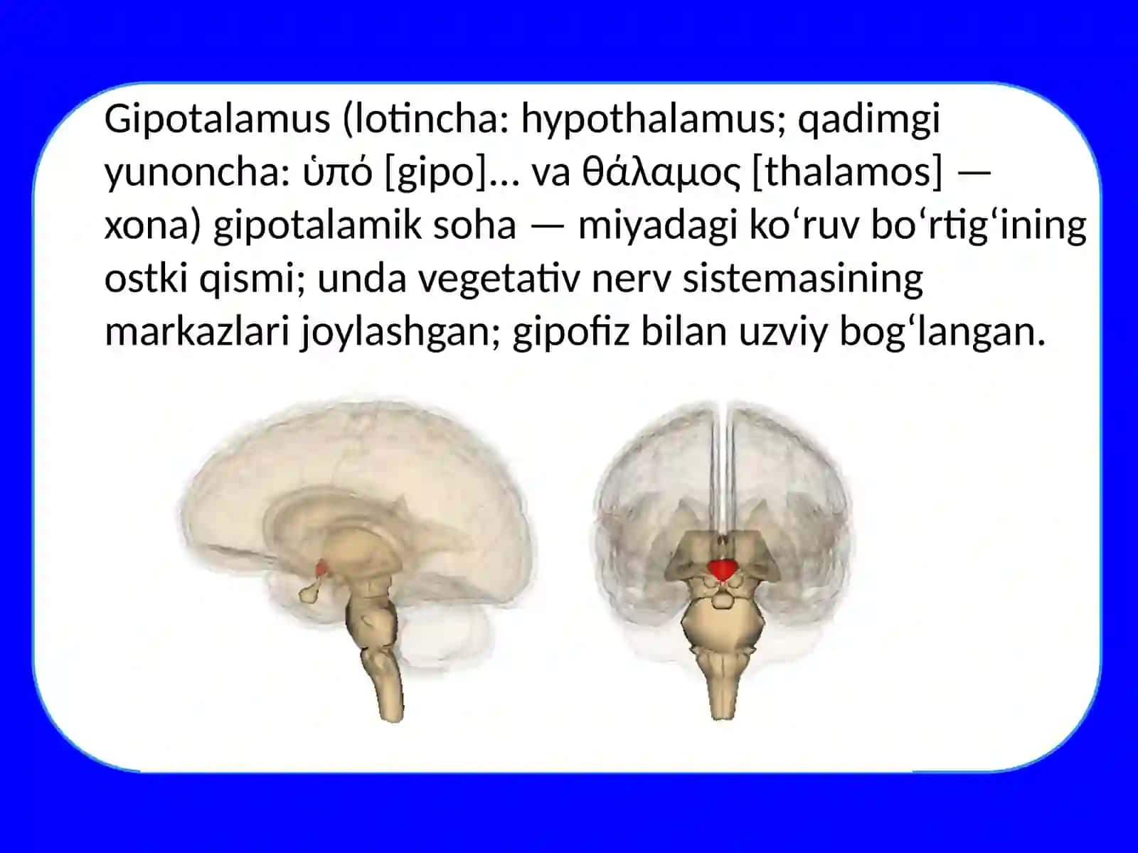 Gipotalamus o'zaklari va ularning klinik ahamiyati 3