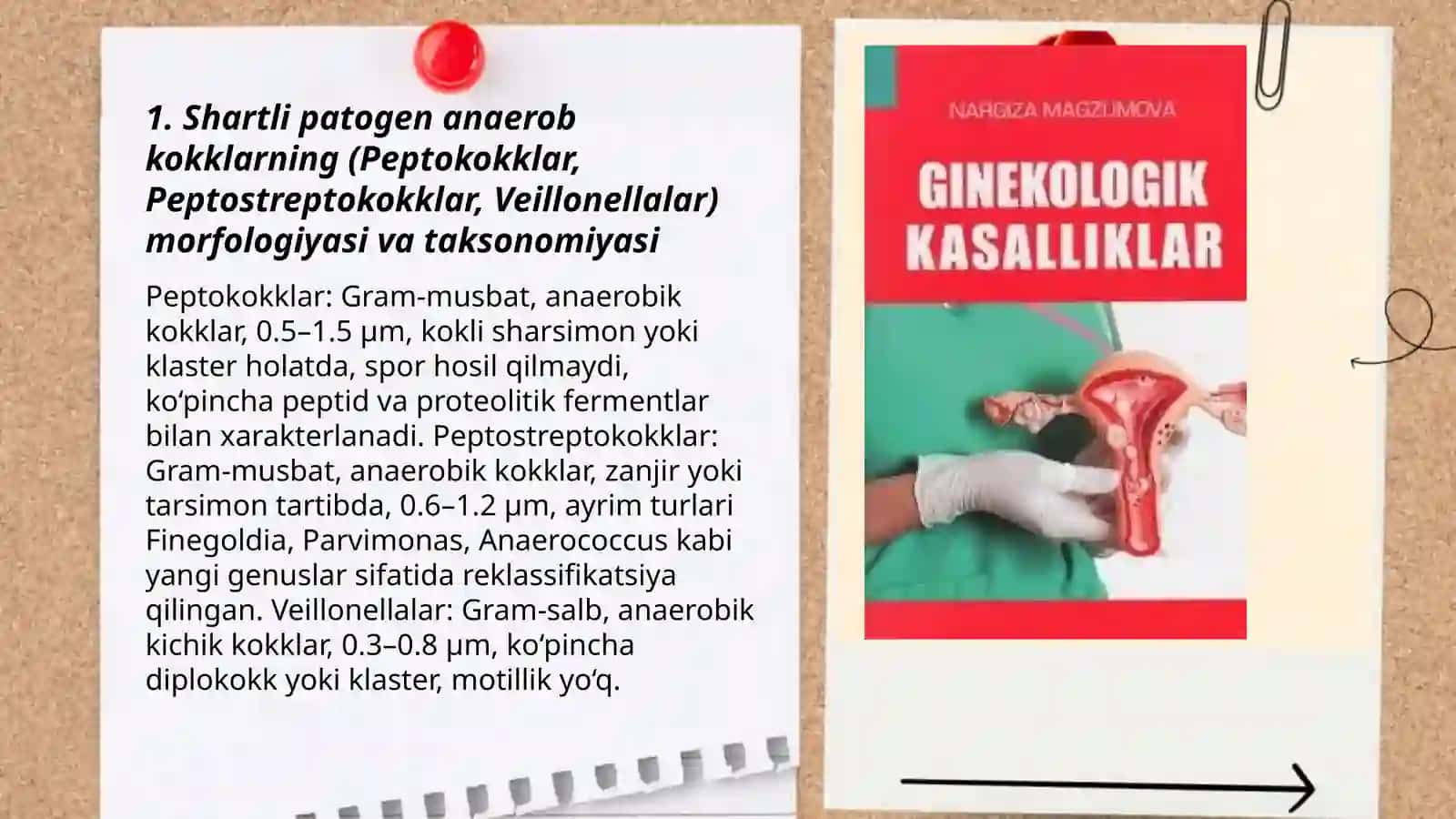 shartli patogen anaerob kokklarni (peptokokklar, peptostreptokokklar, veylonellalar) xirurgik va ginekologik kasalliklardagi ahamiyati 3