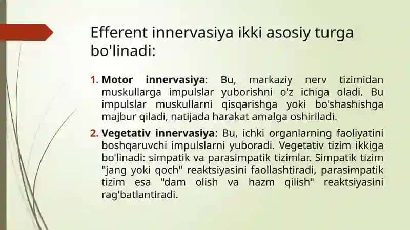 Efferent innervasiya haqida tushuncha 3