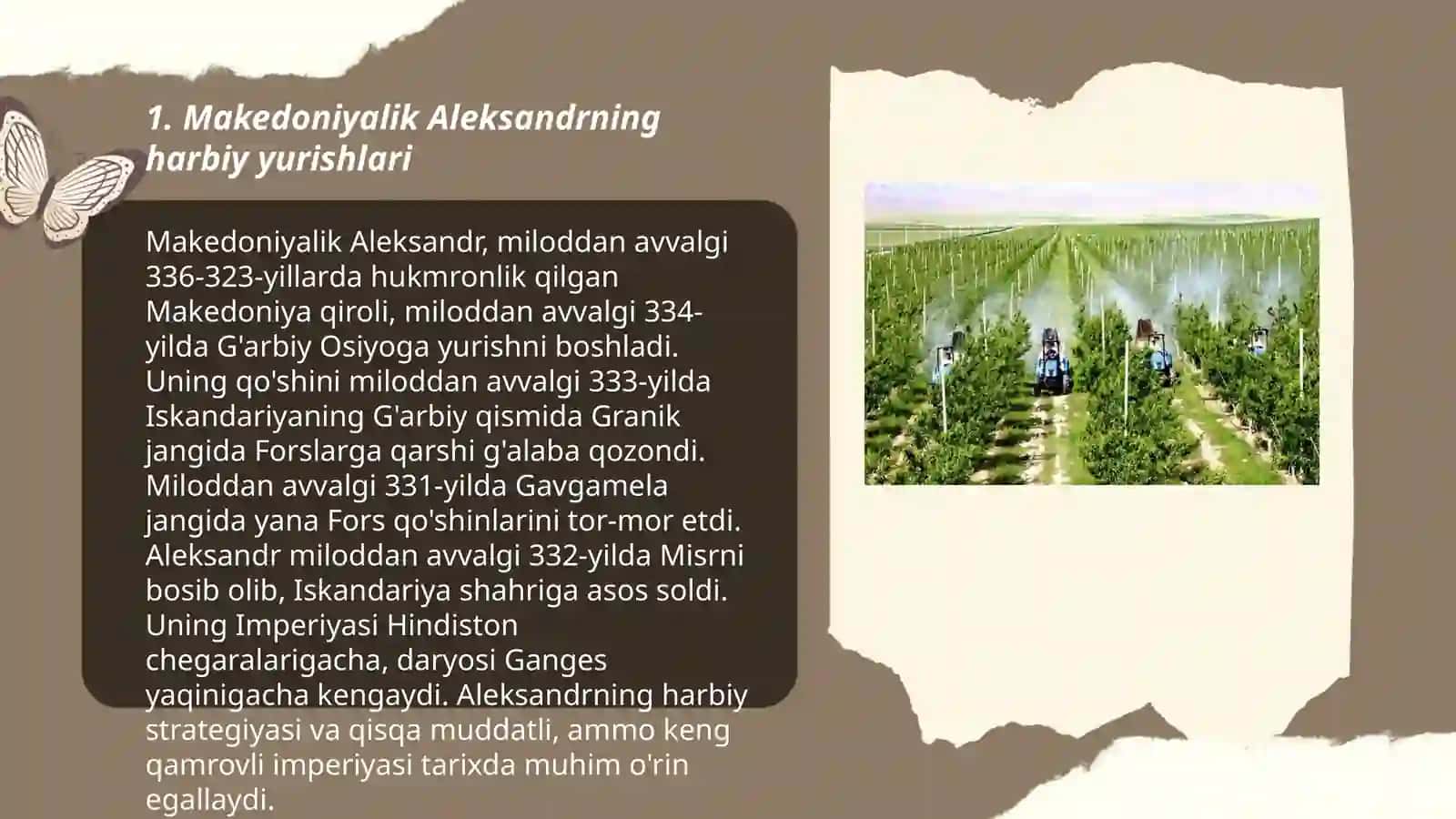 Makedoniyalik Aleksandrning Baqtriya va Sugʻdiyonaga yurishlari 3