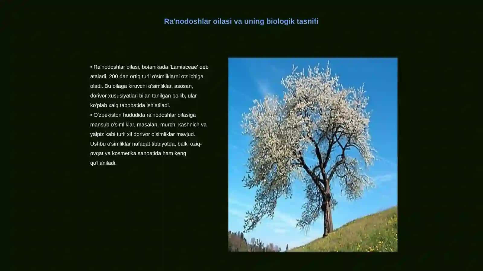 Ra'nodoshlar oilasiga mansub dorivor o'smlilar biologiyasi va ekologiyasni o'rganish 3
