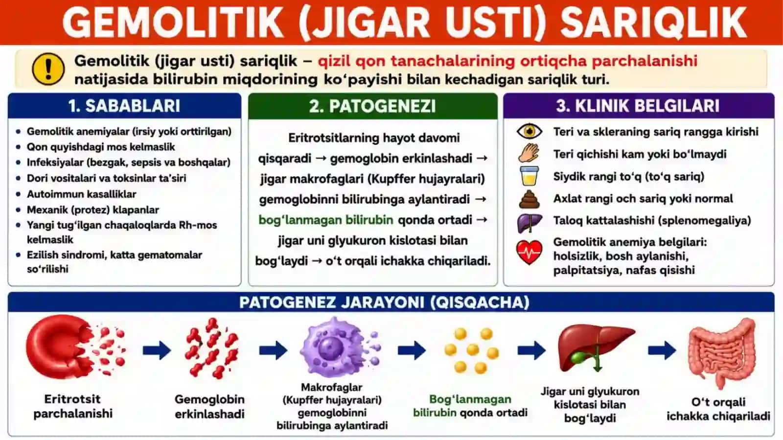 SARIQLIK VA PORTAL GIPERTENZIYA SINDROMLARI, JIGAR SIRROZI VA JIGAR YETISHMOVCHILIGI: KLINIK SIMPTOMOLOGIYASI, TEKSHIRUV USULLARI VA DAVOLASH TAMOYILLARI 3