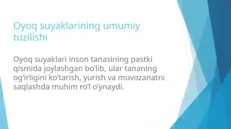 Oyoqning erkin suyaklari son, boldir, tizza qopqog’i 3