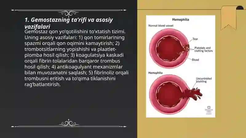 Gemostaz va uning bosqichlari 3