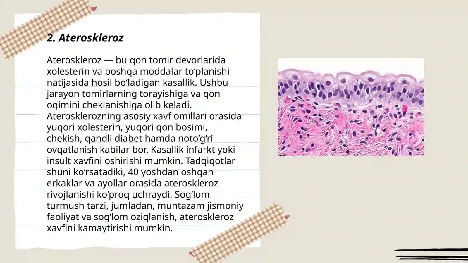 Gistologiya epiteliy tòqimasi 3