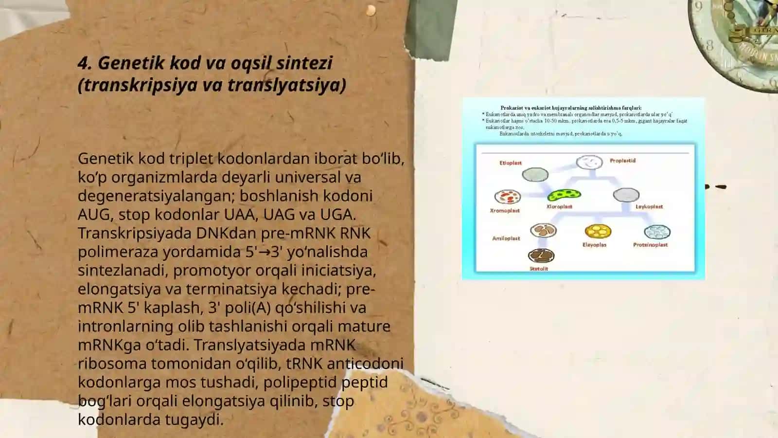 Tibbiy biologiya va umumiy genetika 3