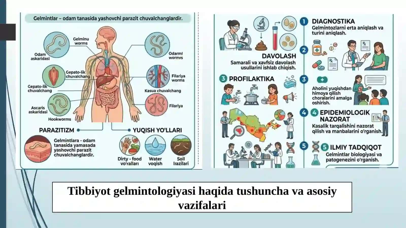 Tibbiyotgelmintologiyasi.Yassichuvalchanglartipi (PLATHELMINTHES) 3