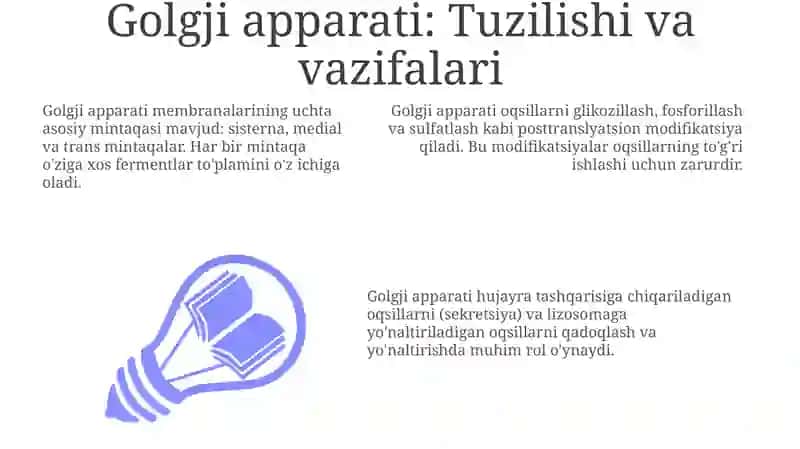 Golgji apparati va Lizosomalar: Tuzilishi va Vazifalari 3
