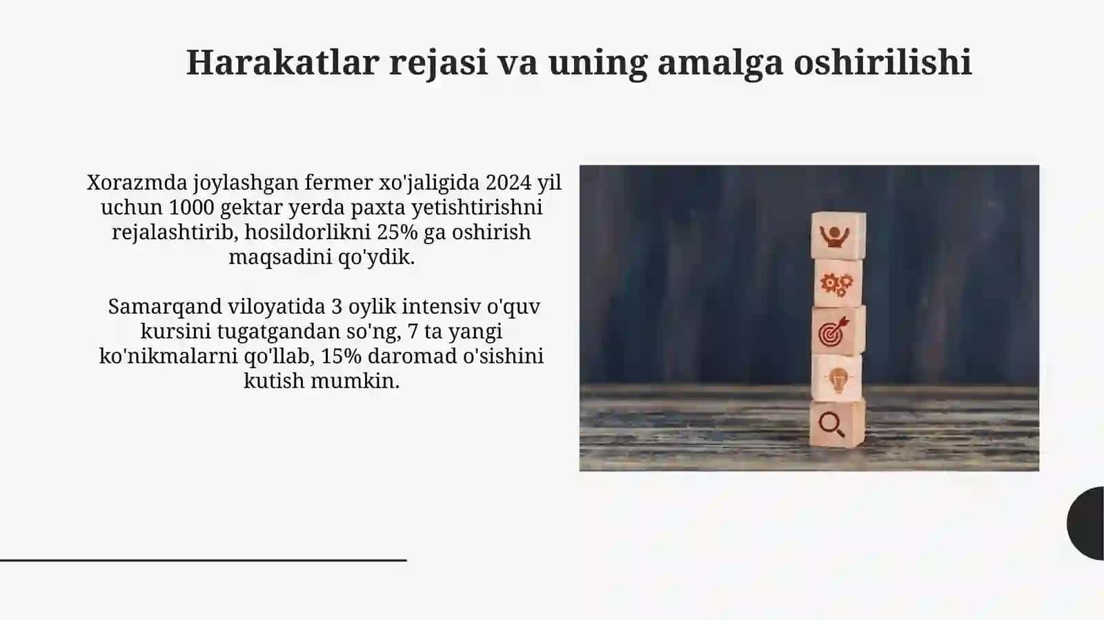 Harakatlar rejasi va uning amalga oshirilishi 3