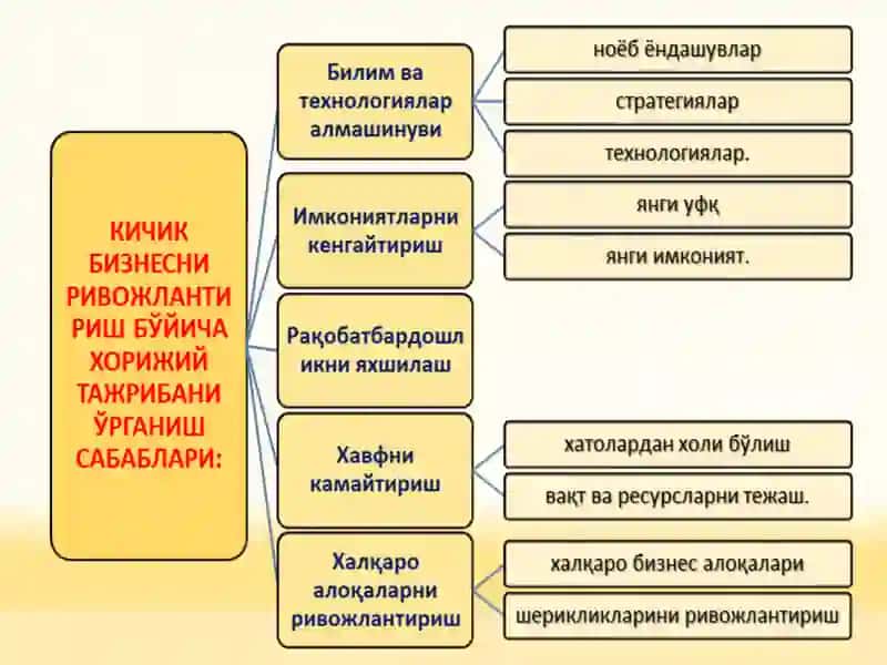 Кичик бизнес тадбиркорликни ривожлантиришнинг жаҳон тажрибаси 3