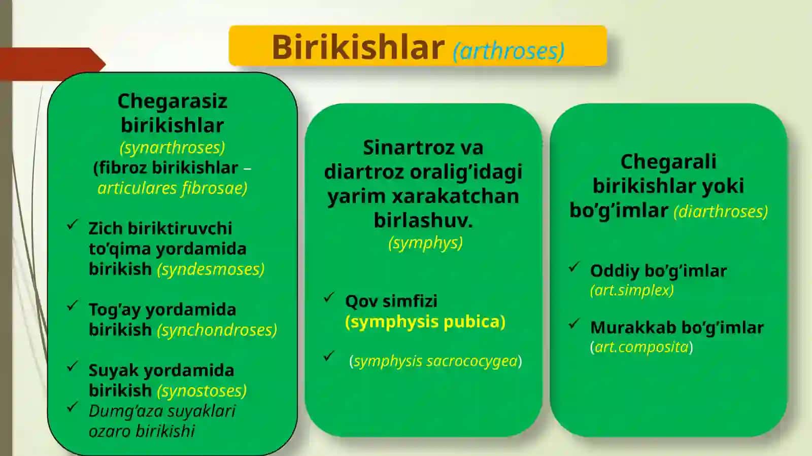 Chanoqsuyaklarining birlashuvi. Butunchanoq. Chanoq-son bo’gimi 3