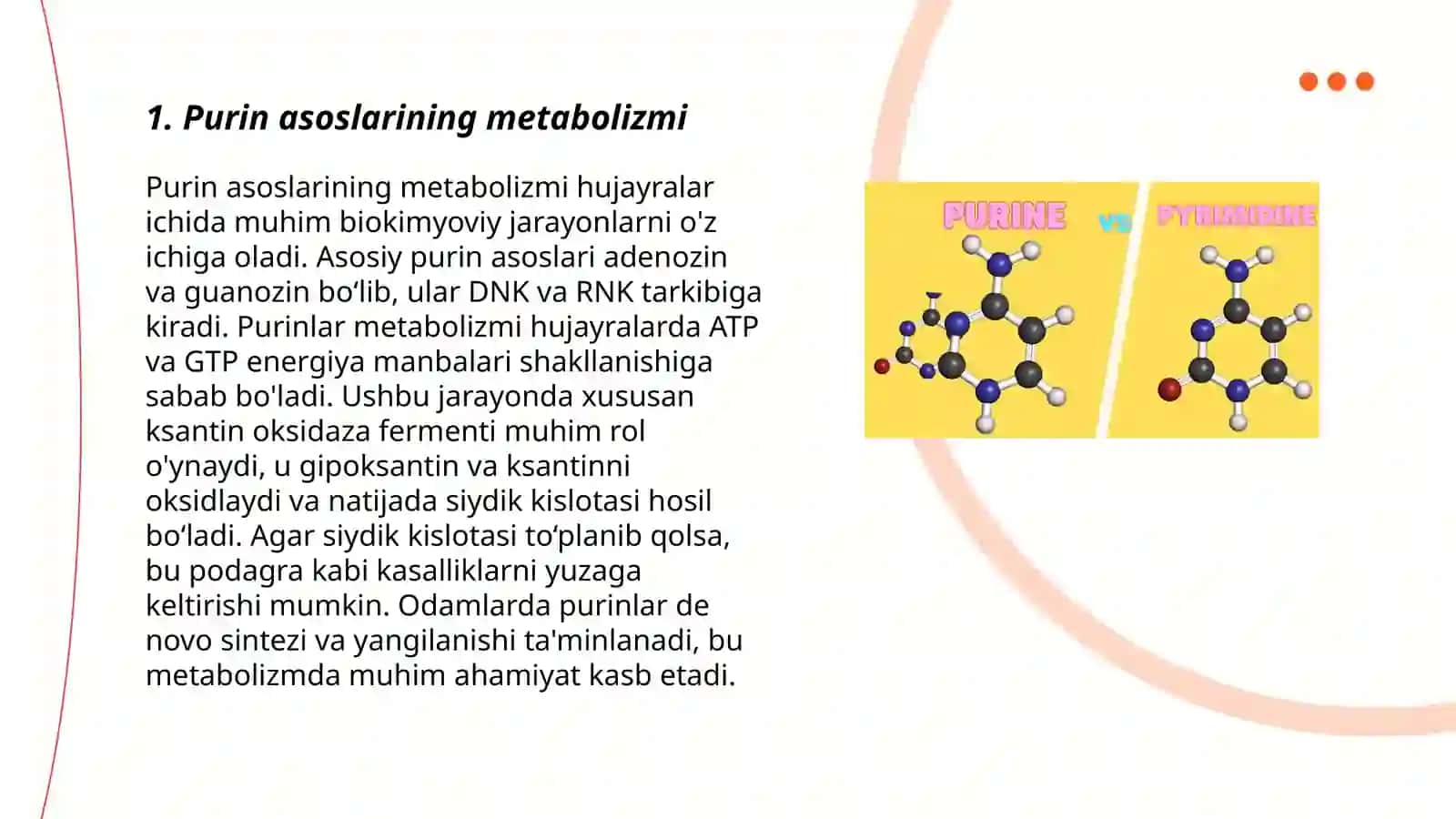 Purin va pirimidin asoslari almashinuvi 3