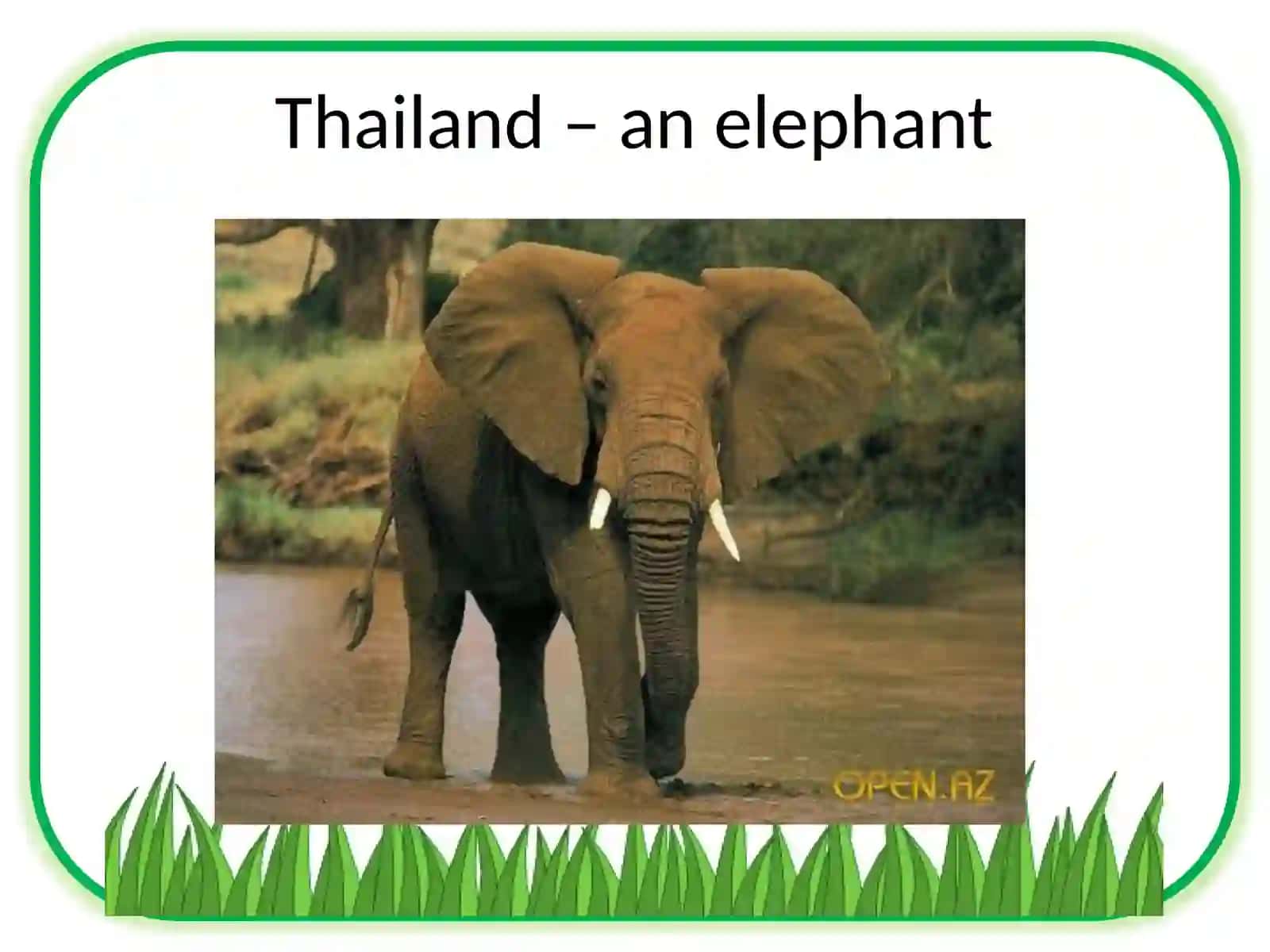 11-sinf Ingliz tili fanidan Animals as national symbols dars taqdimot 3