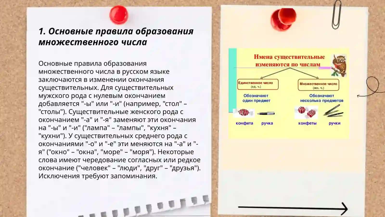 Множественное число имён существительных 3