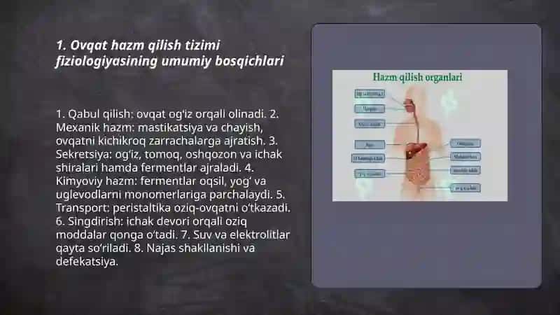 Ovqat hazm qilish tizimi fiziologiyasi 3