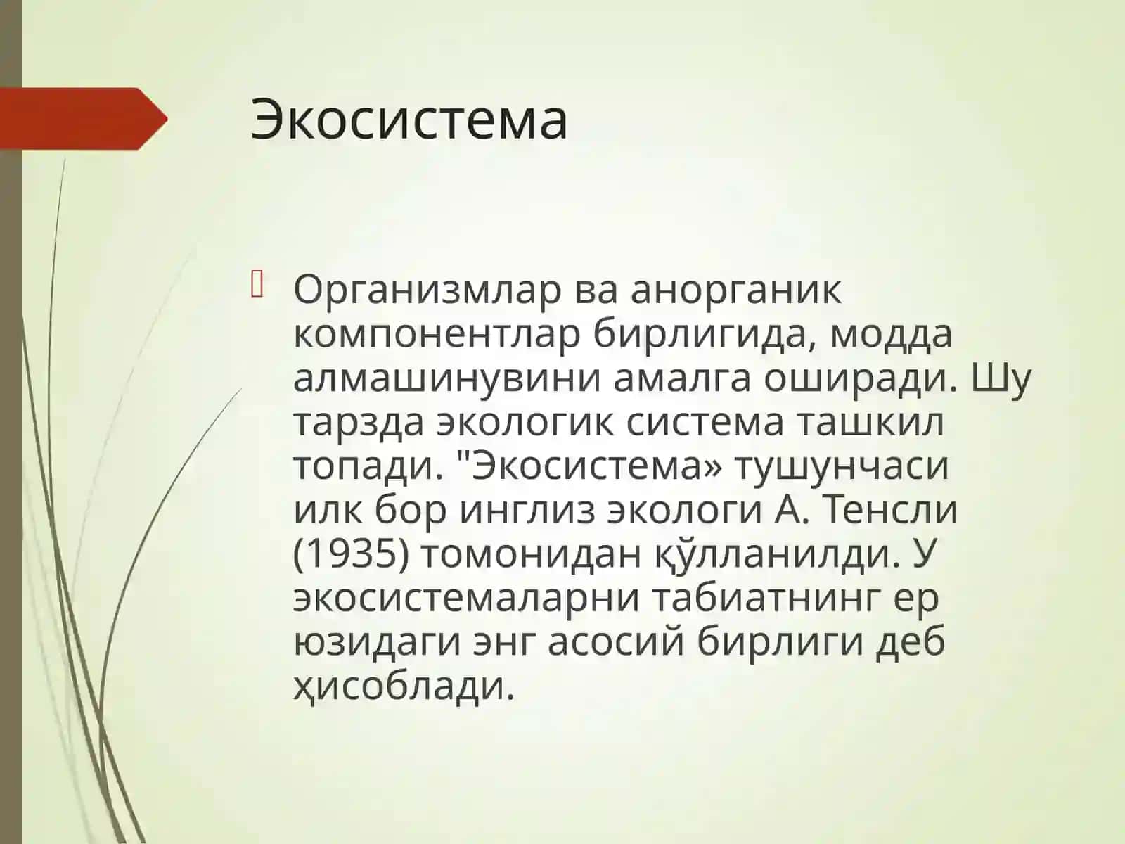 Экосистемалар 3