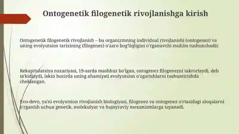 Ongning antagenetik taraqqiyoti 3