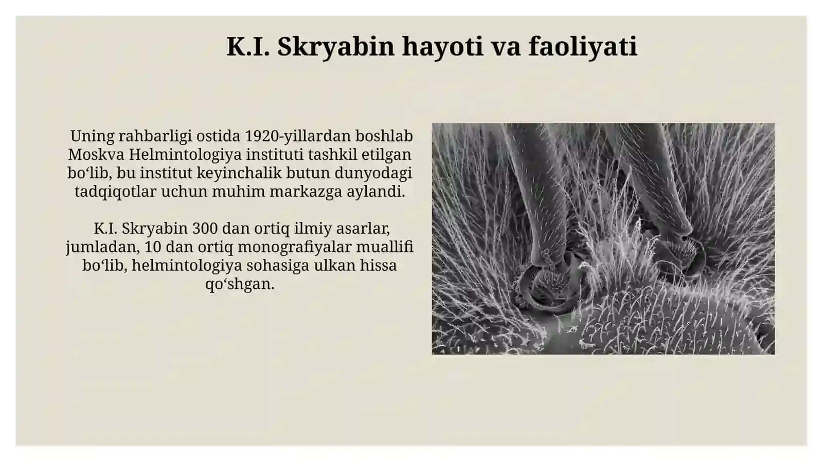 Gelmintologiya - parazit chuvalchanglar haqidagi fan,uning asoschisi K.I.Skryabn 3