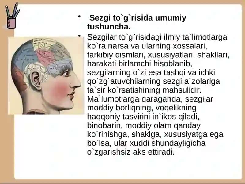 SEZGI TURLARI VA UNING QONUNIYATLARI 3