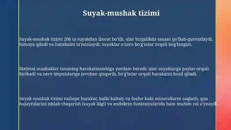 Odam anatomiyasi 3