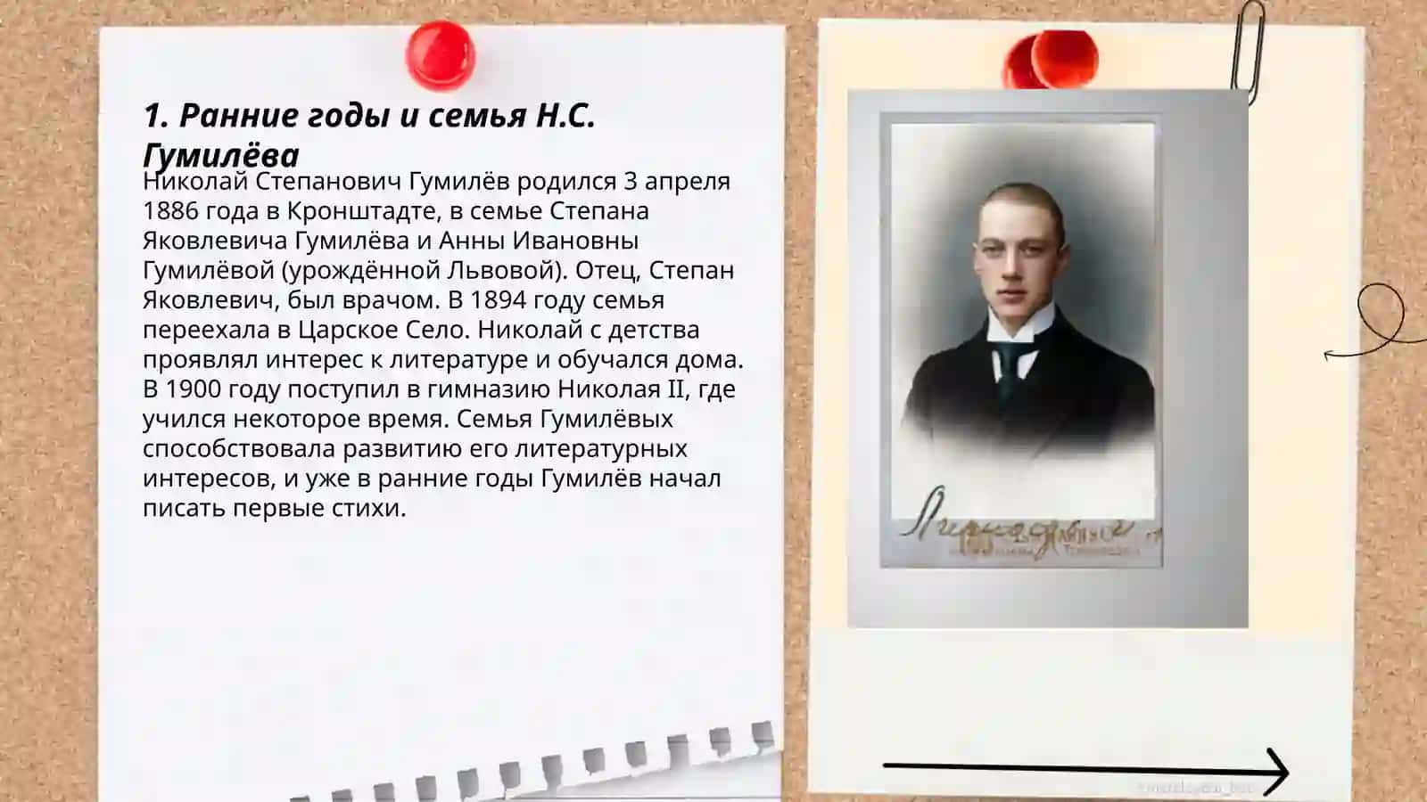 Жизнь и творчество Н.С. Гумилёва 3