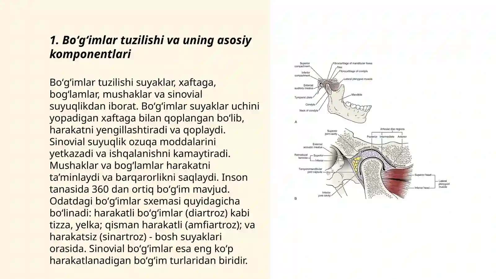 Boʻgʻimlar tuzilishiga tashqi va ichki faktorlar taʼsiri 3
