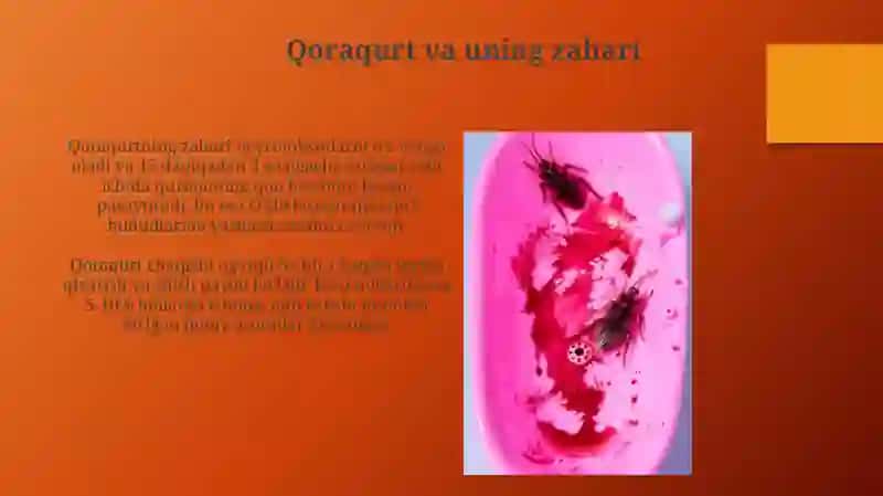Inson va hayvonlarga zarar keltiruvchi ikki qanotlilar turkumi vakillari 3