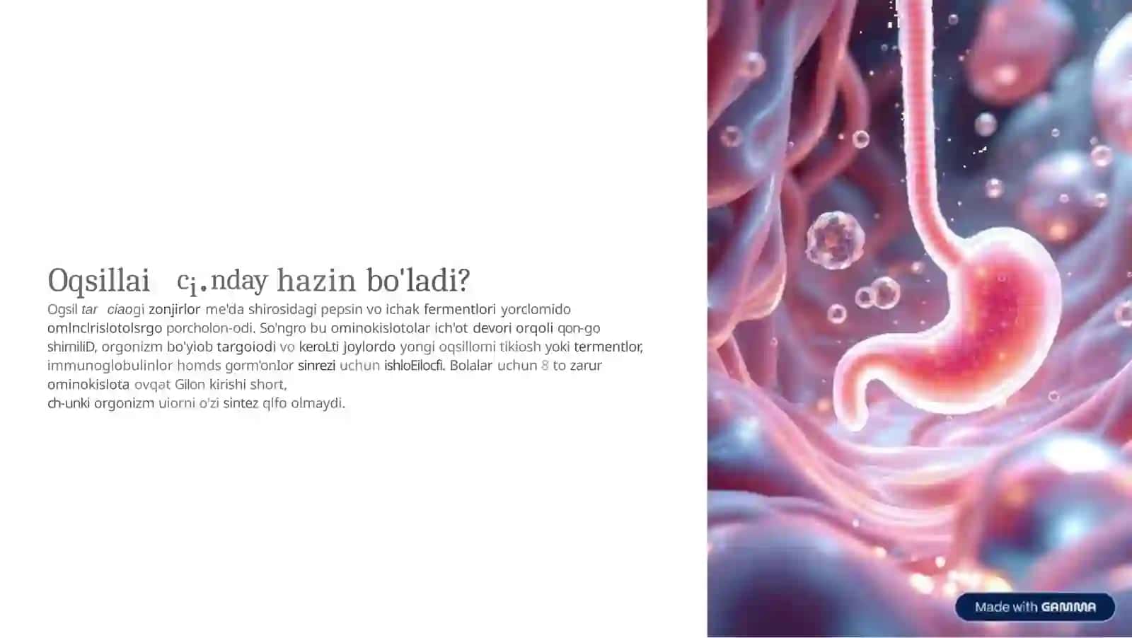 Bolalar ovqatlanishida oqsillarning ahamiyati 3
