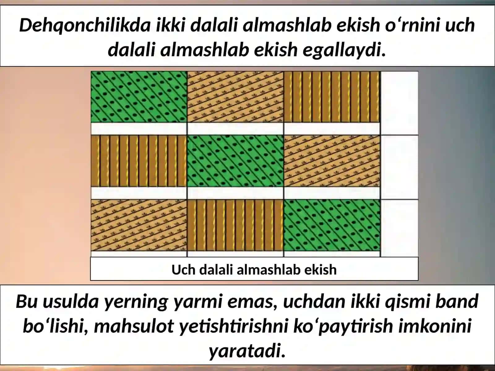 Yevropada o‘rta asr shaharlari 3