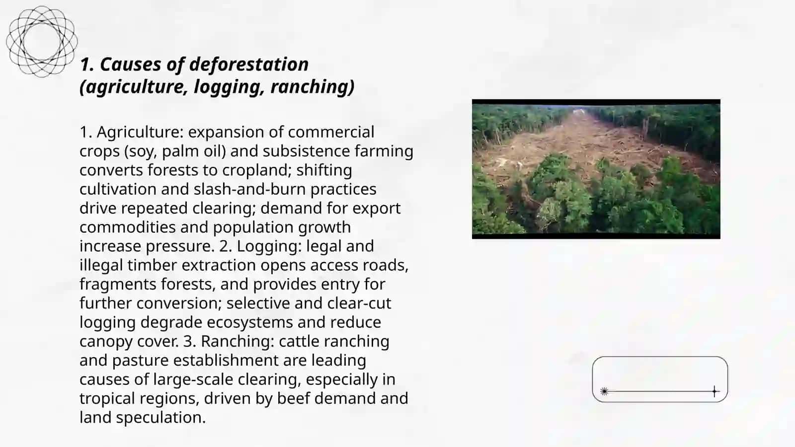 Deforestation 3