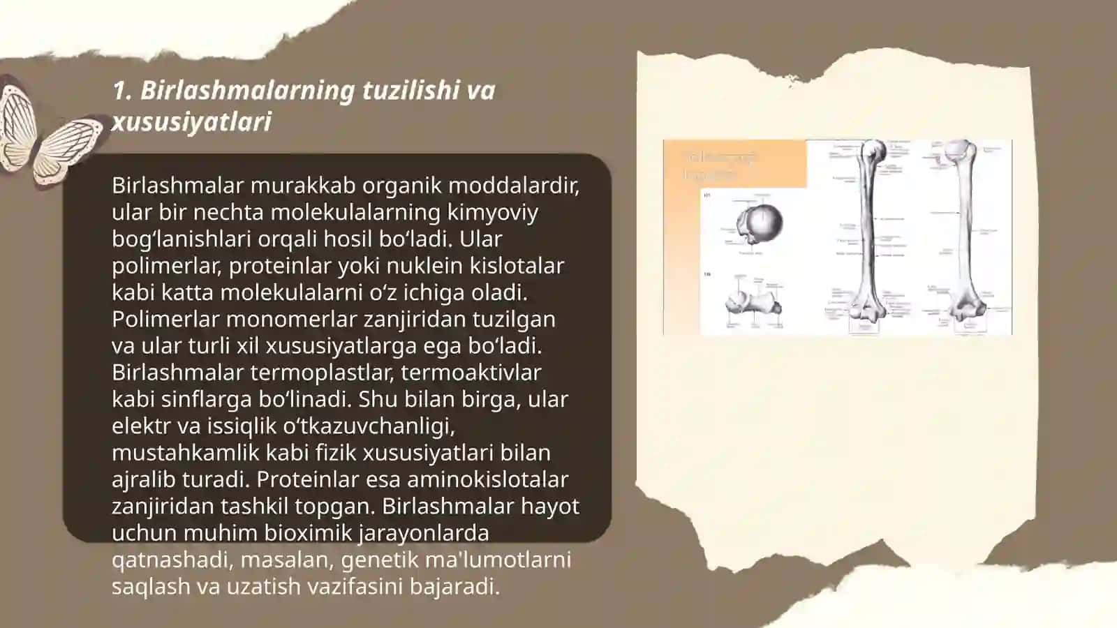 Birlashmalarning rentgen anatomiyasi 3