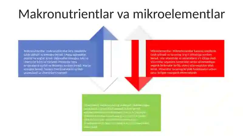 Oziq Ovqat Xavziliginingilmiy Nazariy Asoslari 3