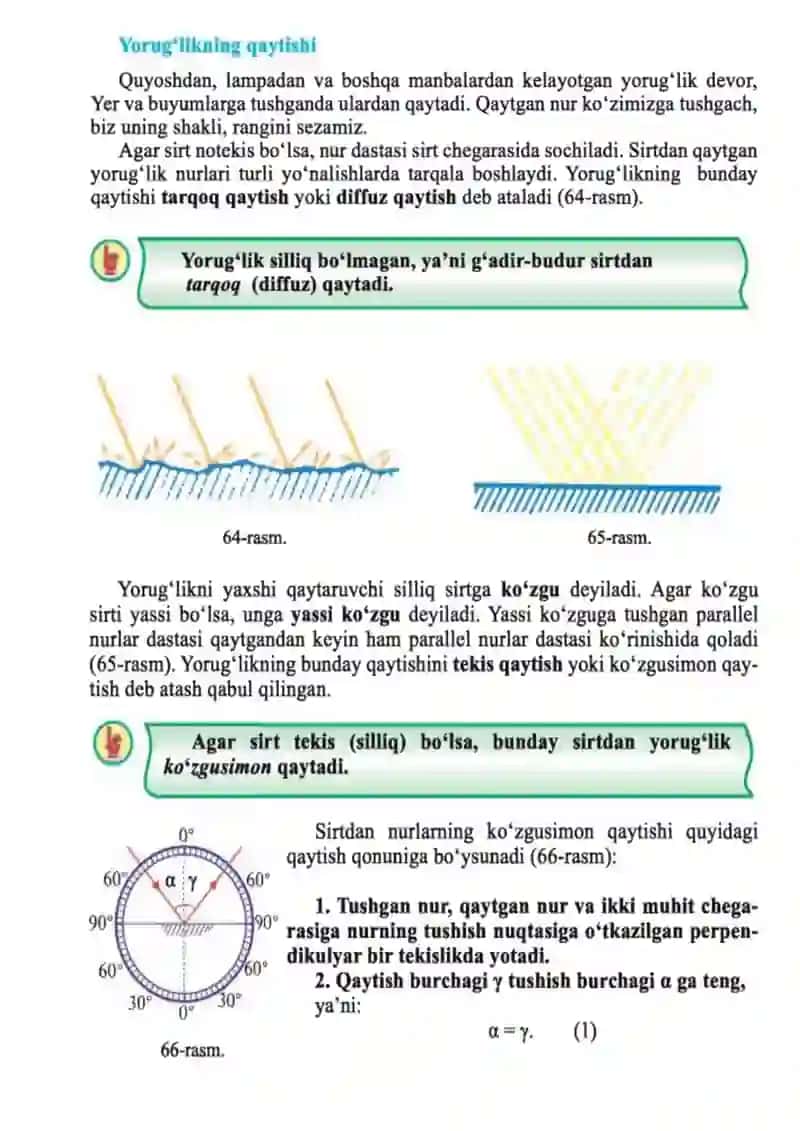 Linzalar 3