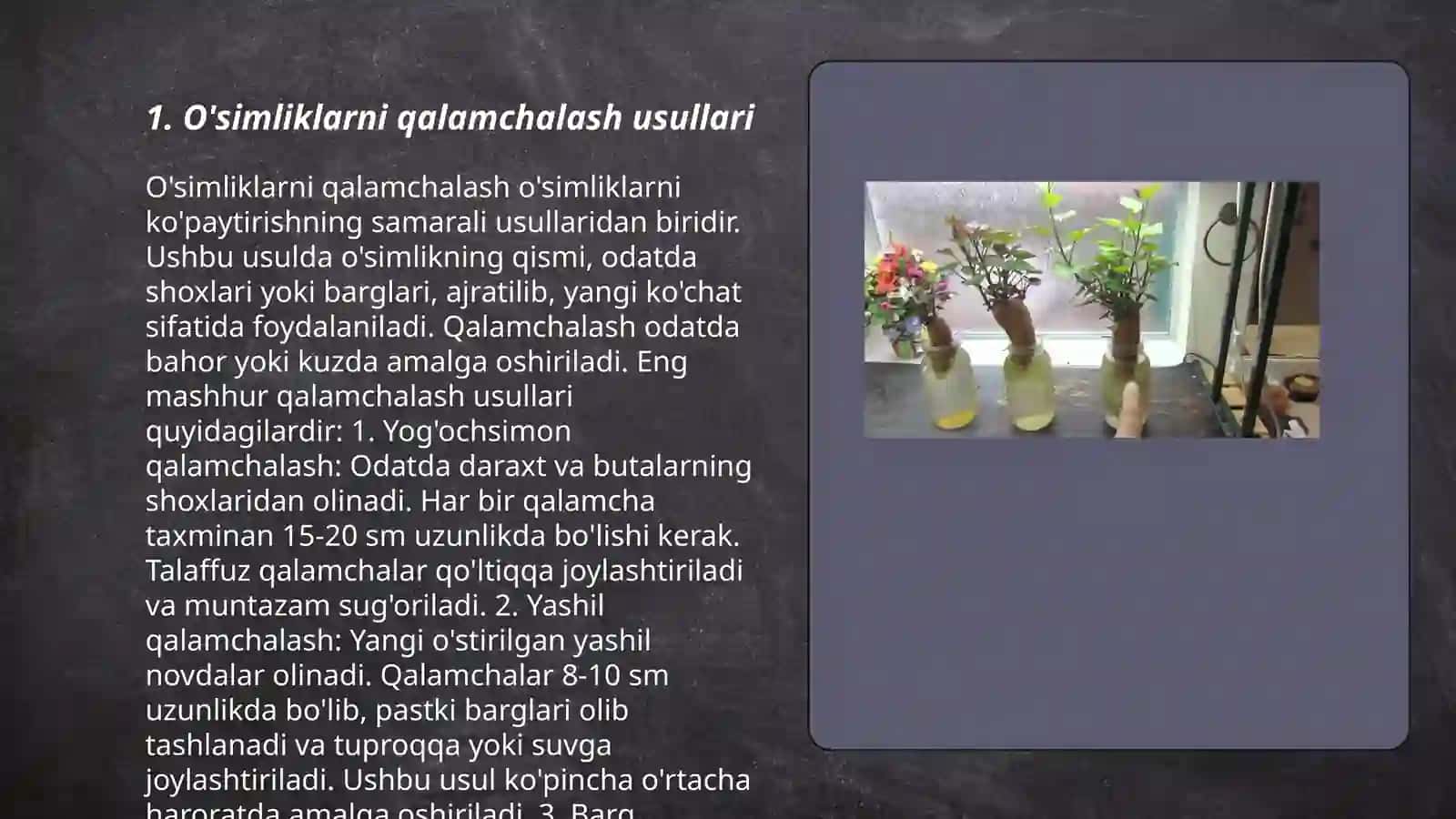 O'simliklarni qalamchalar yordamida payvand qilish 3