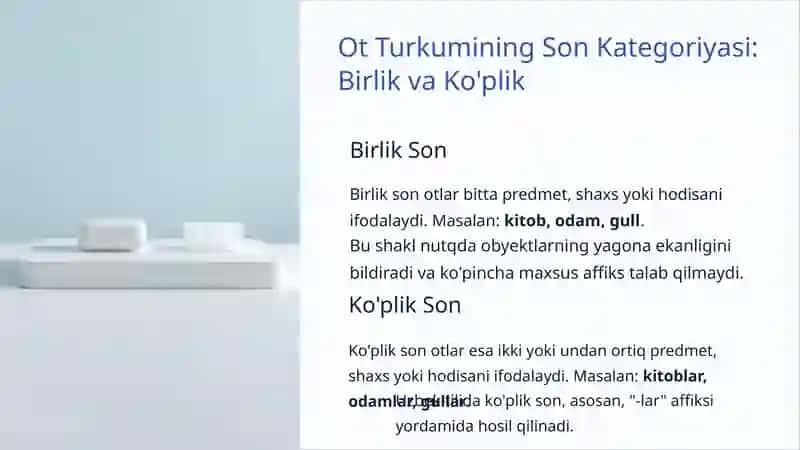 Ot Turkumining Son Kategoriyasi va Nokategorial Shakllari 3